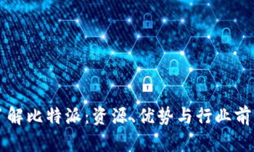 深入了解比特派：资源、优势与行业前景分析