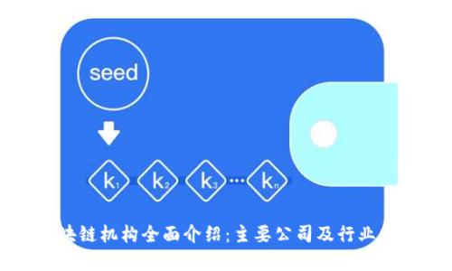 海南区块链机构全面介绍：主要公司及行业发展分析