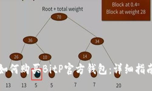 如何购买BitP官方钱包：详细指南