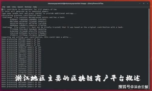  浙江地区主要的区块链商户平台概述