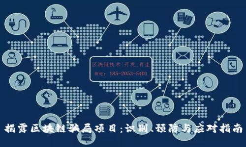 揭露区块链骗局项目：识别、预防与应对指南