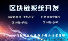 Bitkeep钱包消失的原因与解决方案详解