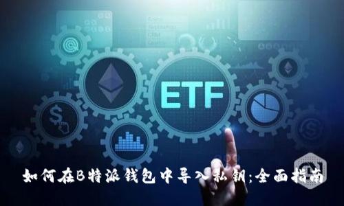 如何在B特派钱包中导入私钥：全面指南