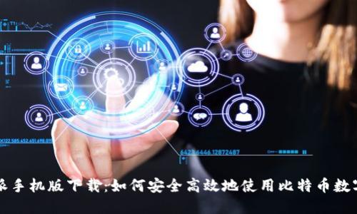 比特派手机版下载：如何安全高效地使用比特币数字钱包