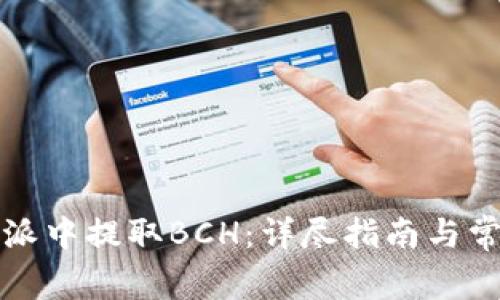 如何在比特派中提取BCH：详尽指南与常见问题解答