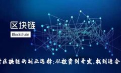 深入探讨区块链的副业选择：从投资到开发，找