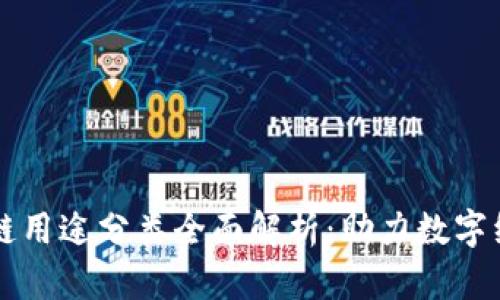 蚂蚁区块链用途分类全面解析：助力数字经济的未来