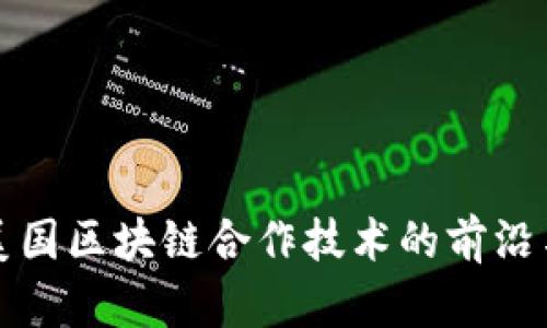 探索美国区块链合作技术的前沿与应用