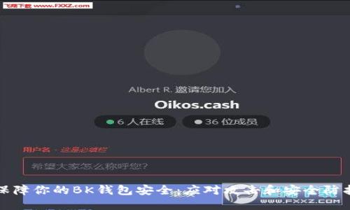 如何保障你的BK钱包安全：应对攻击和安全防护指南