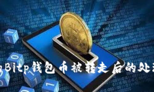 你必须知道的Bitp钱包币被转走后的处理方法与影响