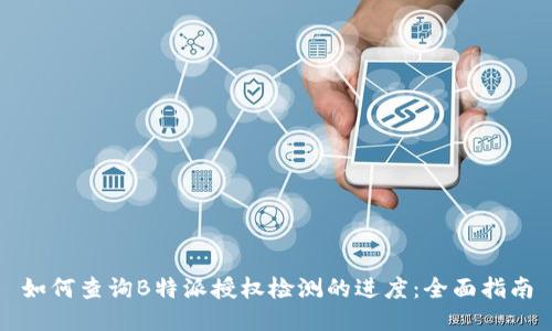 如何查询B特派授权检测的进度：全面指南