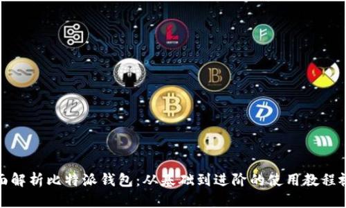 全面解析比特派钱包：从基础到进阶的使用教程视频
