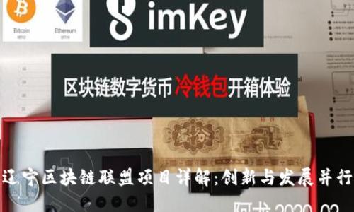 辽宁区块链联盟项目详解：创新与发展并行