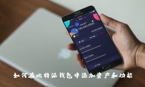如何在比特派钱包中添加资产和功能