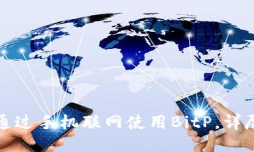 如何通过手机联网使用BitP，详尽指南