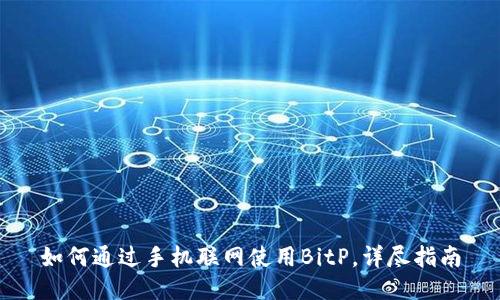如何通过手机联网使用BitP，详尽指南