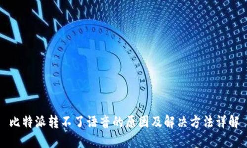 比特派转不了语音的原因及解决方法详解