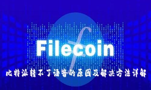 比特派转不了语音的原因及解决方法详解