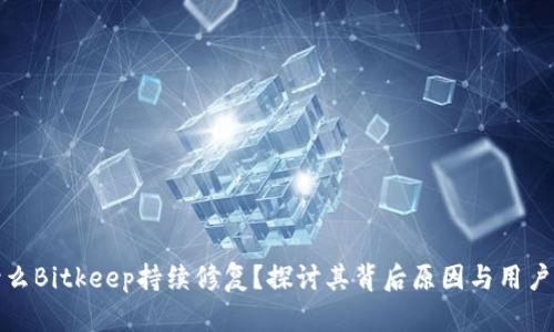 为什么Bitkeep持续修复？探讨其背后原因与用户体验
