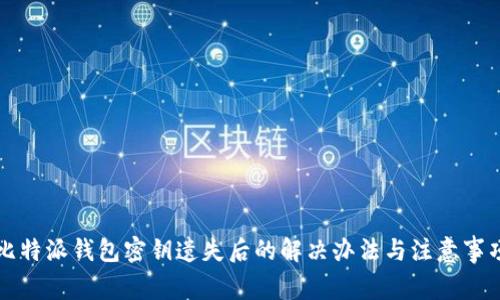 比特派钱包密钥遗失后的解决办法与注意事项