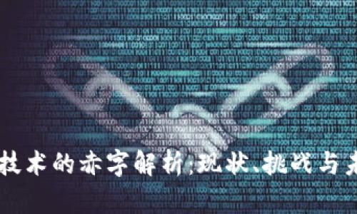 区块链技术的赤字解析：现状、挑战与未来展望