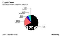 B特派与TP的安全性对比：深入分析与评估