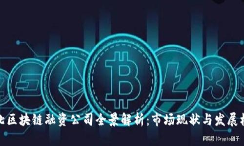 河北区块链融资公司全景解析：市场现状与发展机遇
