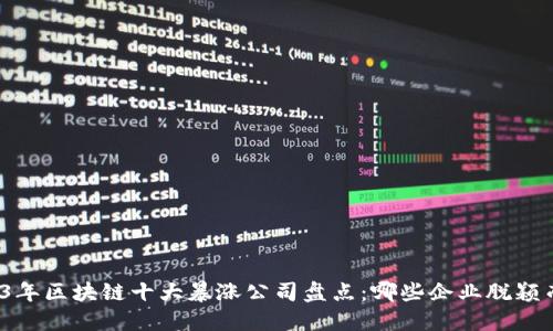 2023年区块链十大暴涨公司盘点：哪些企业脱颖而出？