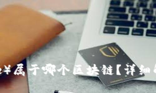 比特派（Bit Pie）属于哪个区块链？详细解析与应用场景