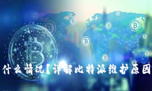 比特派维护中是什么情况？详解比特派维护原因与用户应对措施