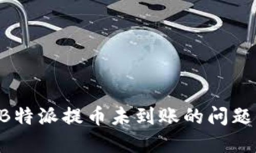 如何解决B特派提币未到账的问题：详细指南