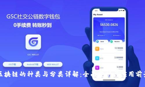 区块链的种类与分类详解：全面分析与应用前景