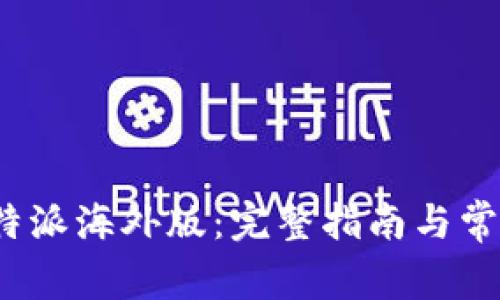 如何下载b特派海外版：完整指南与常见问题解答