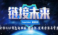 全面介绍BitP钱包电脑版：安全性、使用方法与常