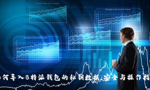 如何导入B特派钱包的私钥数据：安全与操作指南