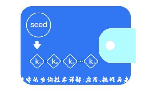 区块链中的查询技术详解：应用、挑战与未来发展