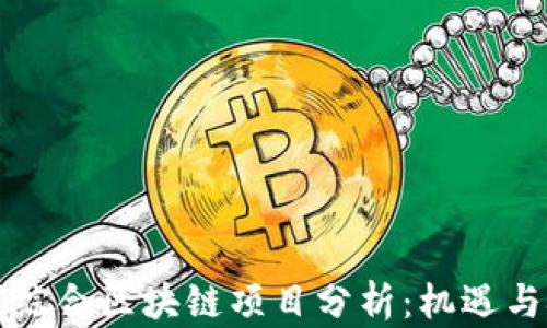 
于都综合区块链项目分析：机遇与挑战