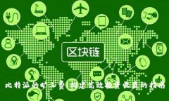 比特派的旷工费：构建高效投资收益的指南