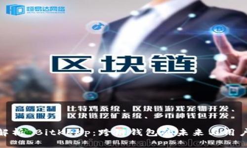全面解析 BitKeep：跨链钱包的未来与用户体验