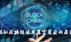 揭秘区块链项目暴富背后的原因