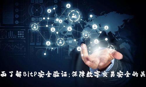 全面了解BitP安全验证：保障数字交易安全的关键