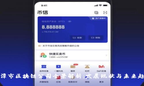 湘潭市区块链公司全景解析：发展现状与未来趋势