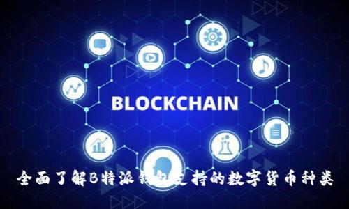 全面了解B特派钱包支持的数字货币种类
