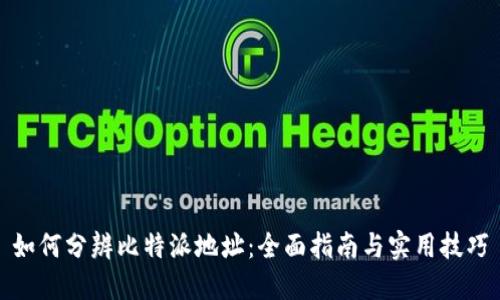 如何分辨比特派地址：全面指南与实用技巧