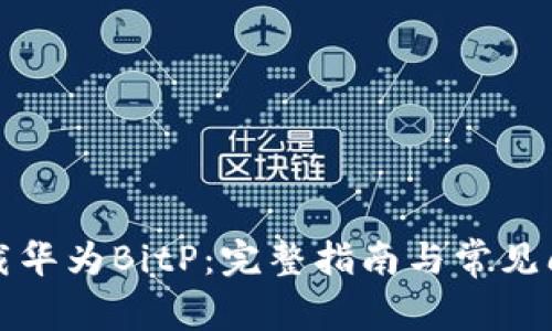 如何下载华为BitP：完整指南与常见问题解答