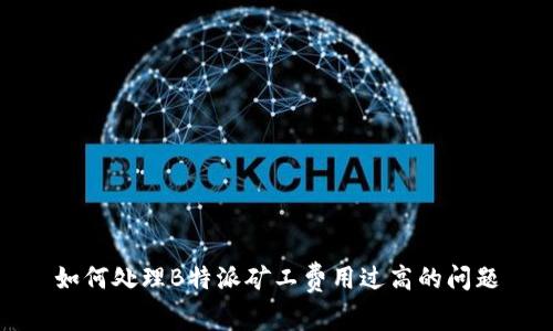 如何处理B特派矿工费用过高的问题