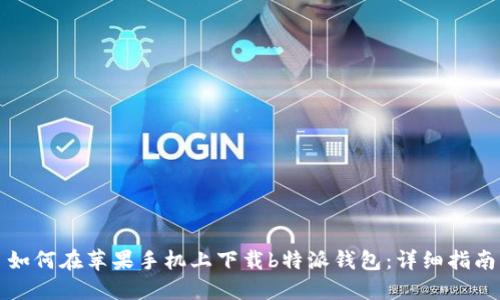 如何在苹果手机上下载b特派钱包：详细指南