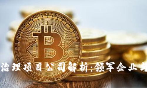 区块链治理项目公司解析：领军企业与创新者