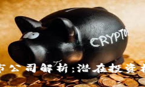 蔡甸区块链上市公司解析：潜在投资机会与行业现状