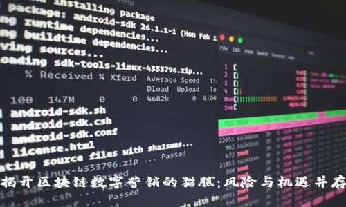 揭开区块链数字营销的猫腻：风险与机遇并存